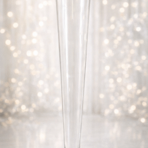 Clear Glass Pilsner Vase